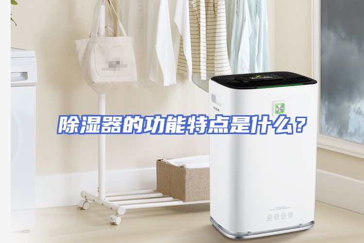 除湿器的功能特点是什么？