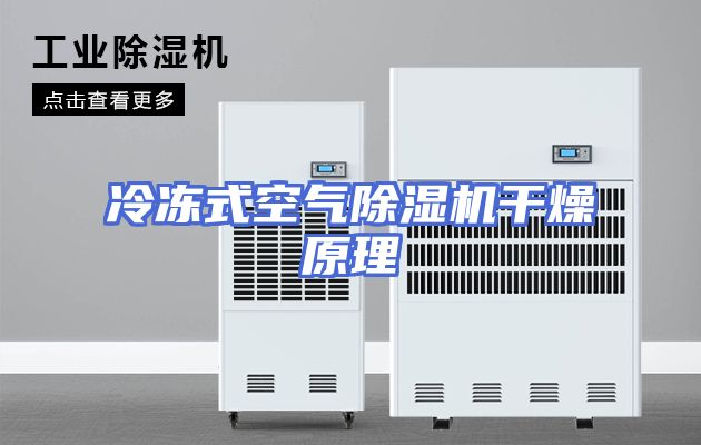 冷冻式空气除湿机干燥原理
