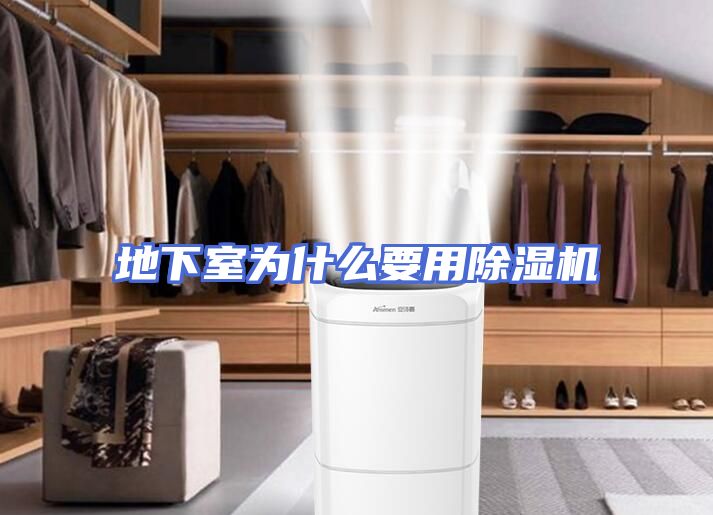 地下室为什么要用除湿机