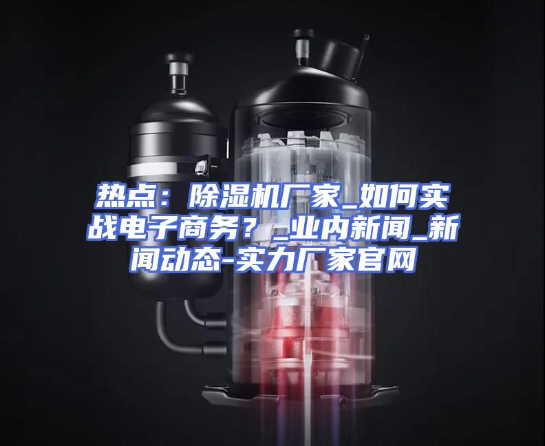 热点：除湿机厂家_如何实战电子商务？_业内新闻_新闻动态-实力厂家官网
