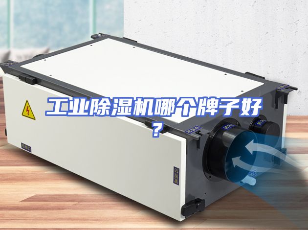 工业除湿机哪个牌子好？