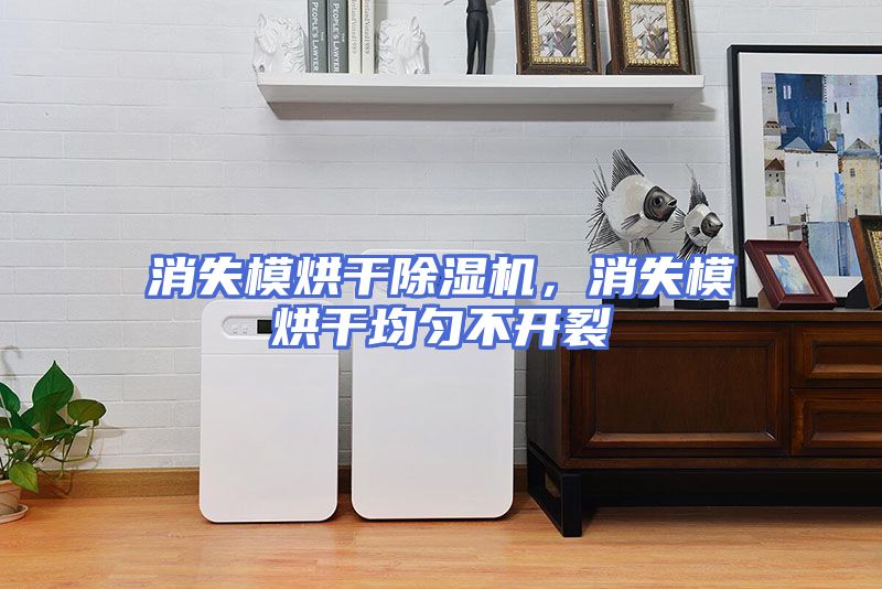 消失模烘干除湿机，消失模烘干均匀不开裂