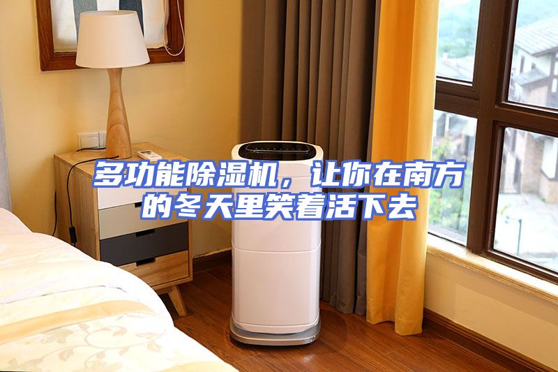 多功能除湿机，让你在南方的冬天里笑着活下去