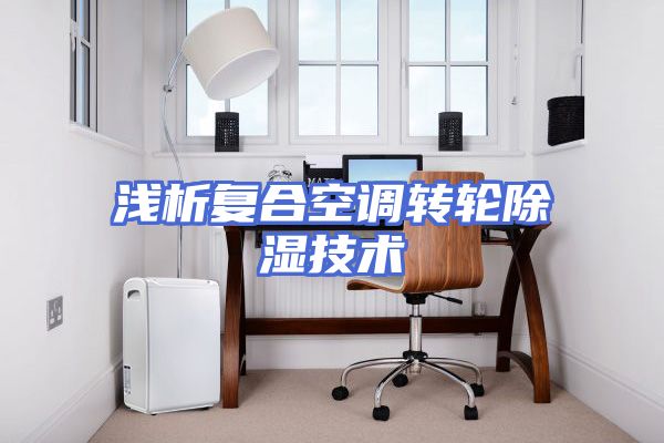 浅析复合空调转轮除湿技术