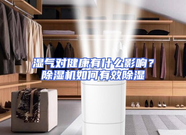 湿气对健康有什么影响？除湿机如何有效除湿