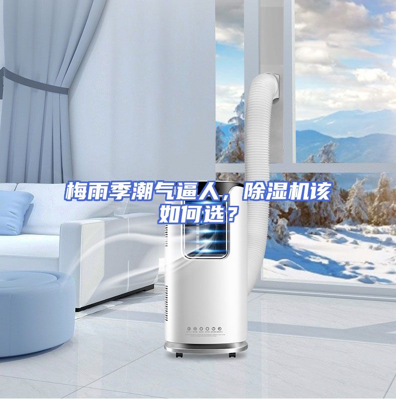 梅雨季潮气逼人，除湿机该如何选？