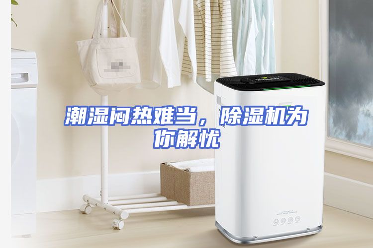 潮湿闷热难当，除湿机为你解忧
