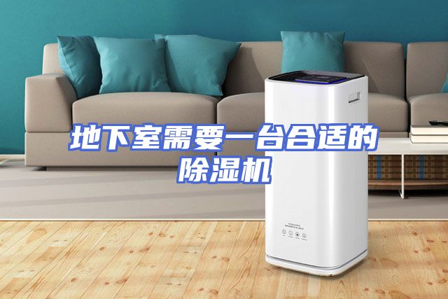 地下室需要一台合适的除湿机