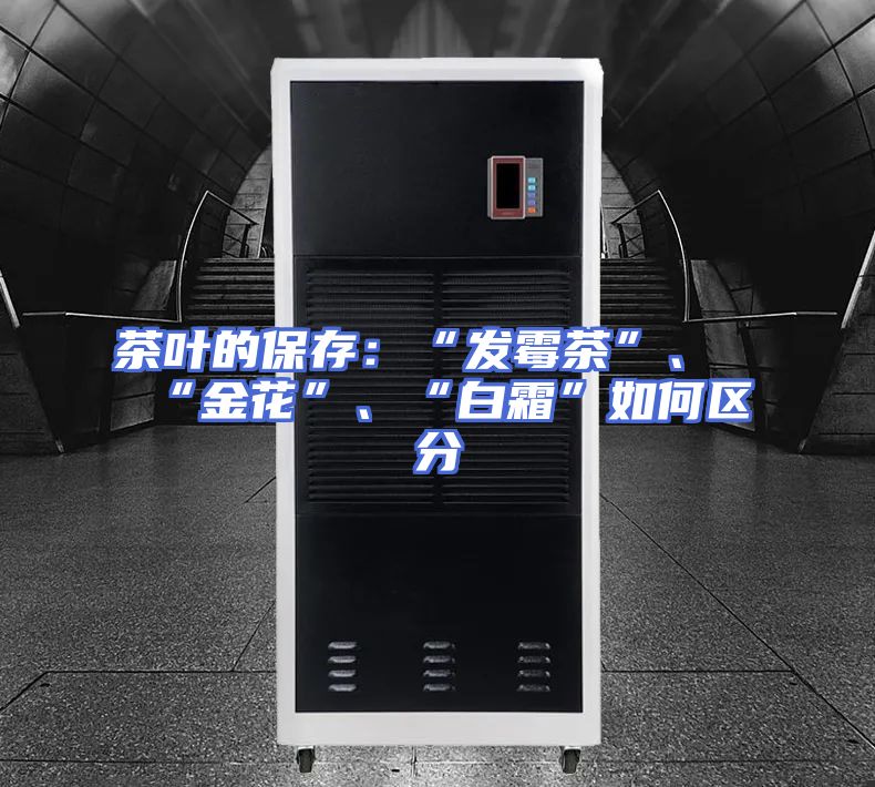 茶叶的保存：“发霉茶”、“金花”、“白霜”如何区分