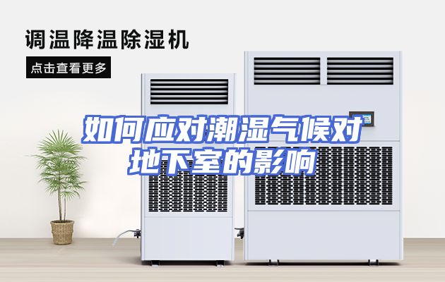 如何应对潮湿气候对地下室的影响