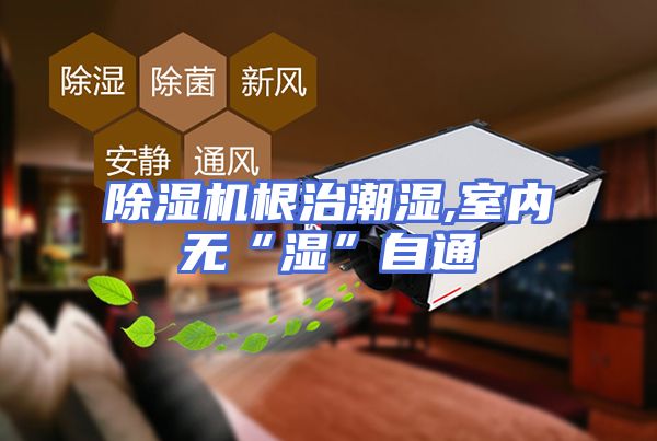 除湿机根治潮湿,室内无“湿”自通