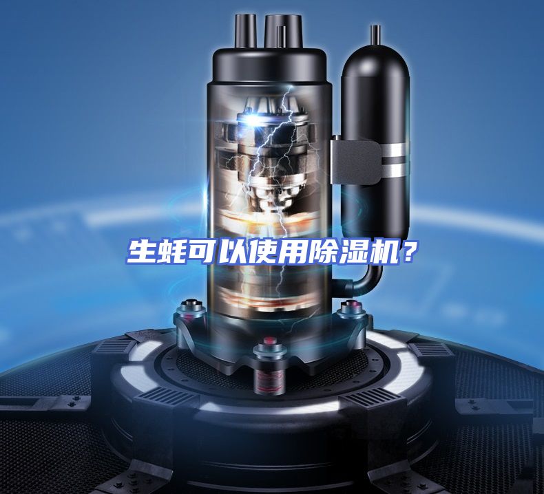 生蚝可以使用除湿机？