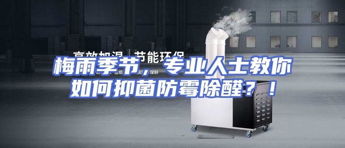 梅雨季节，专业人士教你如何抑菌防霉除醛？！