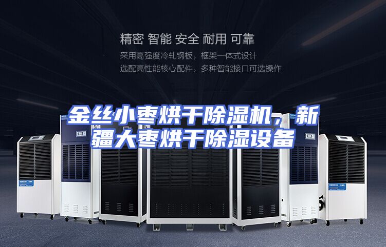 金丝小枣烘干除湿机，新疆大枣烘干除湿设备