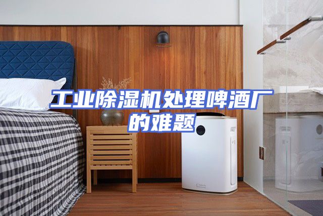 工业除湿机处理啤酒厂的难题