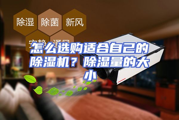 怎么选购适合自己的除湿机？除湿量的大小