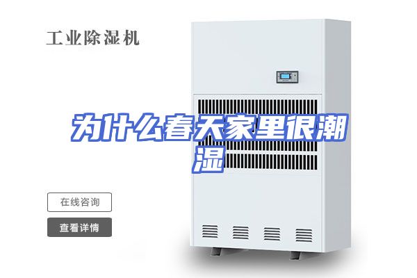 为什么春天家里很潮湿