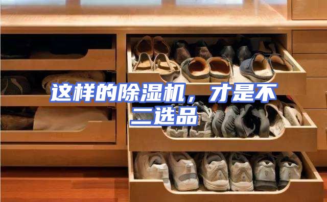 这样的除湿机，才是不二选品