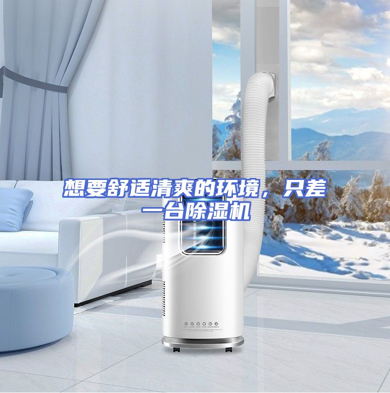 想要舒适清爽的环境，只差一台除湿机