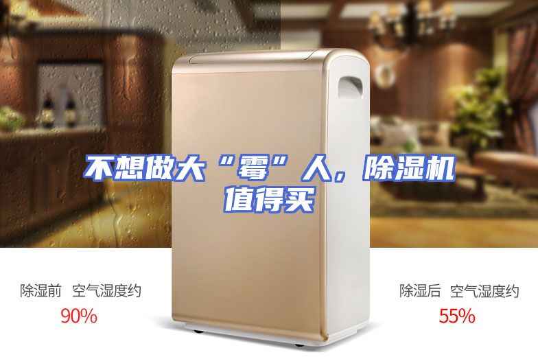 不想做大“霉”人，除湿机值得买