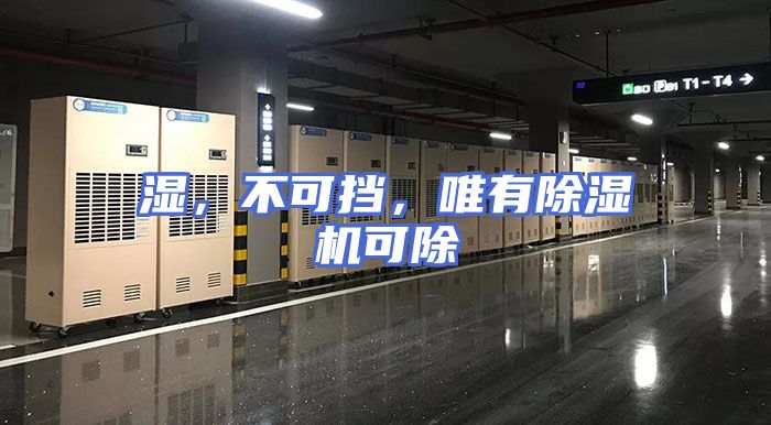 湿，不可挡，唯有除湿机可除