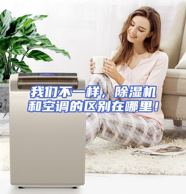 我们不一样，除湿机和空调的区别在哪里！