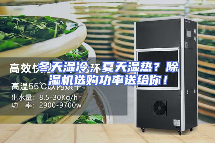 冬天湿冷，夏天湿热？除湿机选购功率送给你！