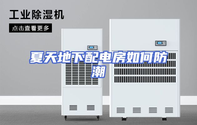 夏天地下配电房如何防潮