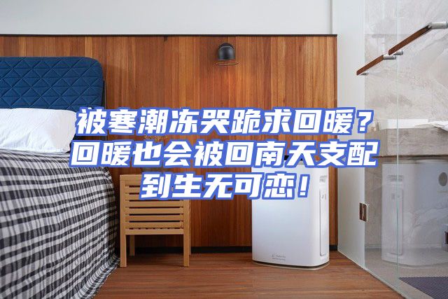 被寒潮冻哭跪求回暖？回暖也会被回南天支配到生无可恋！