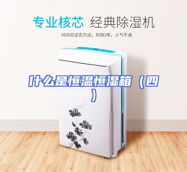 什么是恒温恒湿箱（四)