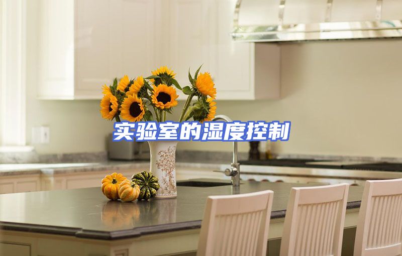 实验室的湿度控制
