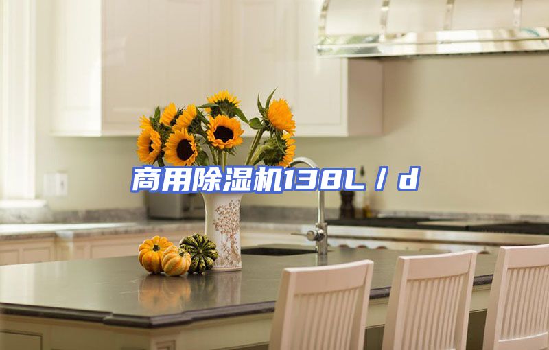 商用除湿机138L／d