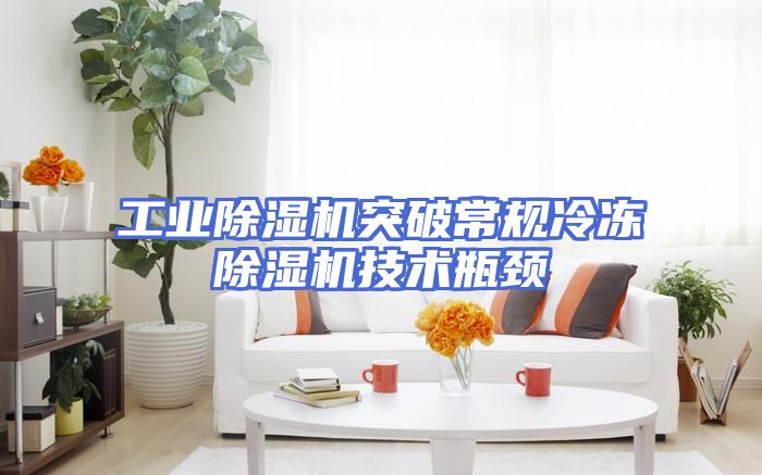 工业除湿机突破常规冷冻除湿机技术瓶颈