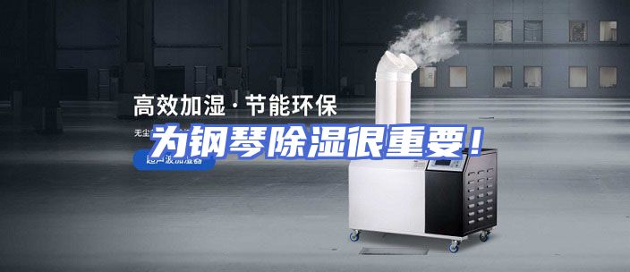 为钢琴除湿很重要！