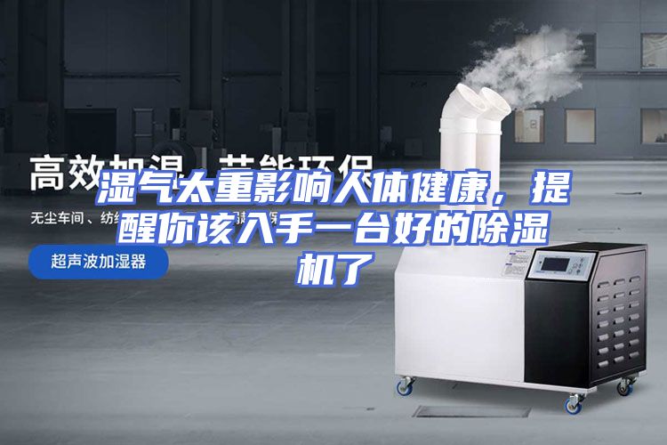 湿气太重影响人体健康，提醒你该入手一台好的除湿机了