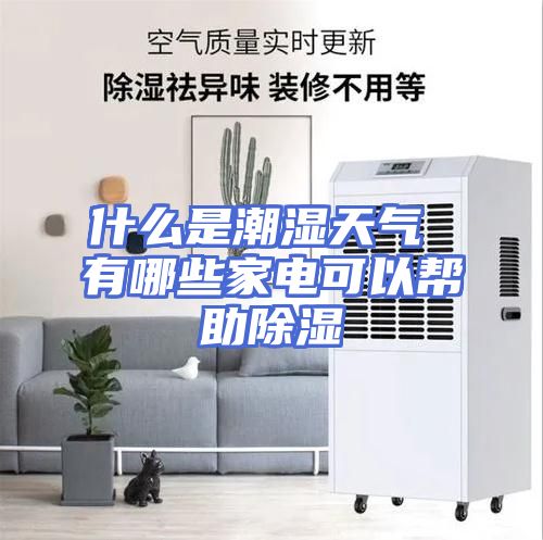什么是潮湿天气 有哪些家电可以帮助除湿
