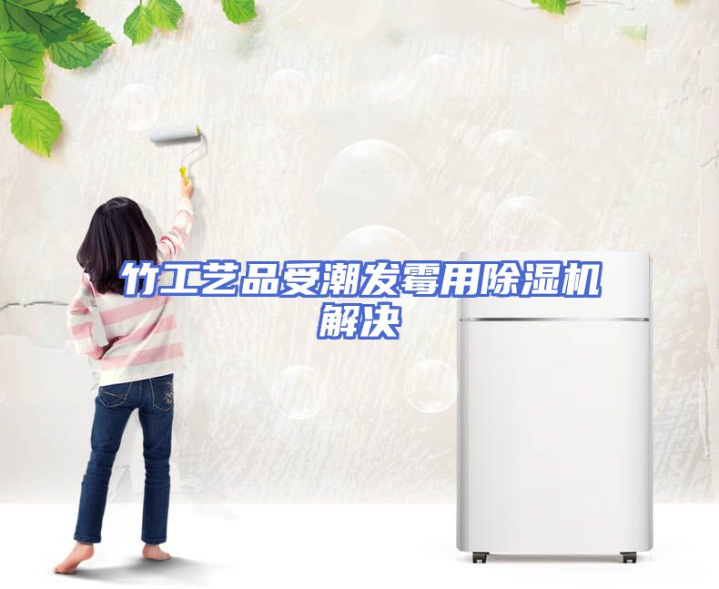 竹工艺品受潮发霉用除湿机解决