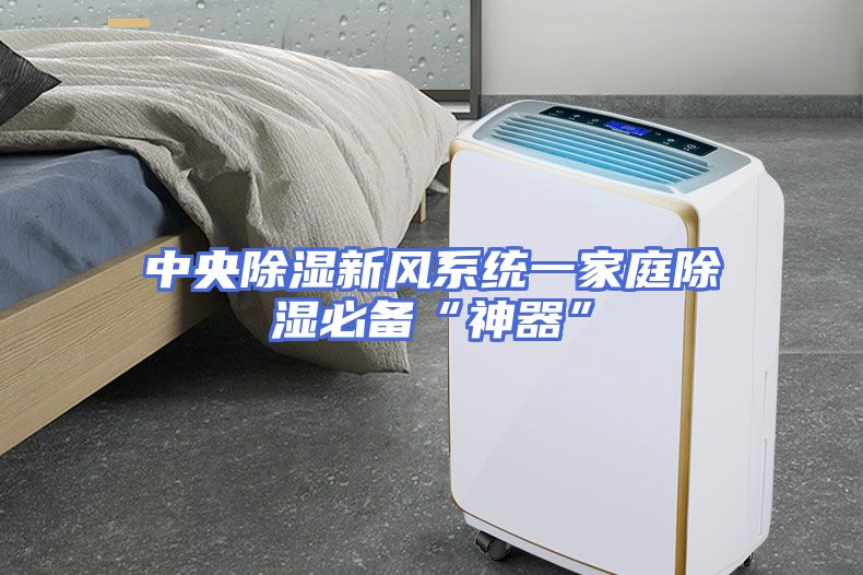 中央除湿新风系统一家庭除湿必备“神器”