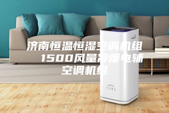济南恒温恒湿空调机组  1500风量冷暖电辅空调机组