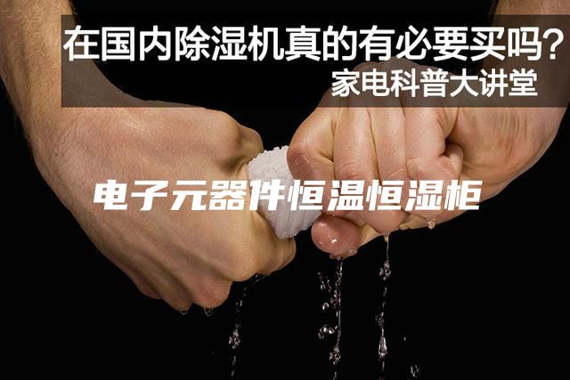 电子元器件恒温恒湿柜