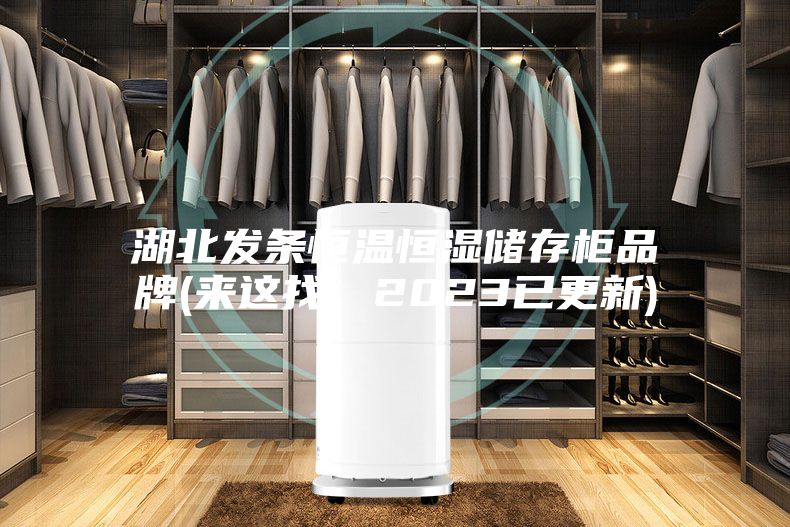 湖北发条恒温恒湿储存柜品牌(来这找，2023已更新)