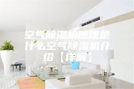 空气除湿机原理是什么空气除湿机介绍【详解】