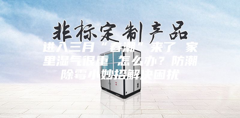 进入三月“春潮”来了 家里湿气很重 怎么办？防潮除霉小妙招解决困扰