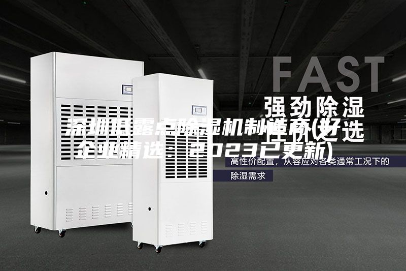 深圳低露点除湿机制造商(好企业精选：2023已更新)