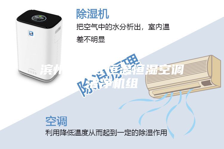 滨州水冷式恒温恒湿空调洁净机组