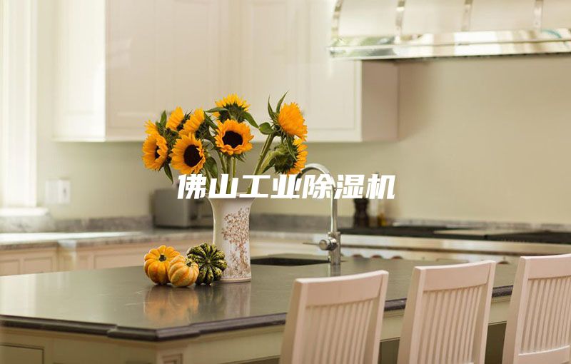 佛山工业除湿机