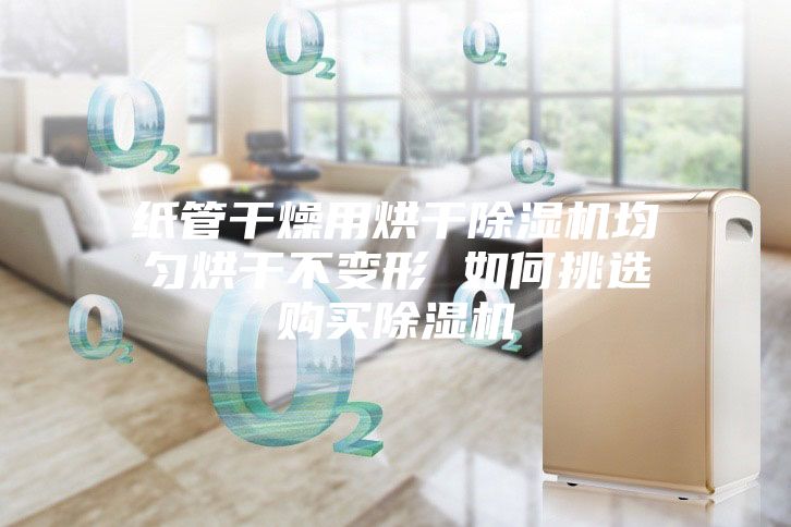 纸管干燥用烘干除湿机均匀烘干不变形 如何挑选购买除湿机