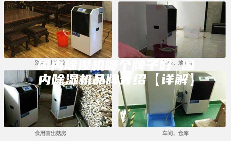 国内除湿机哪个牌子好 国内除湿机品牌介绍【详解】