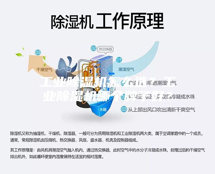 工业除湿机怎么选？工业除湿机哪个牌子好？