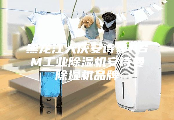 黑龙江大庆安诗曼ASM工业除湿机安诗曼除湿机品牌